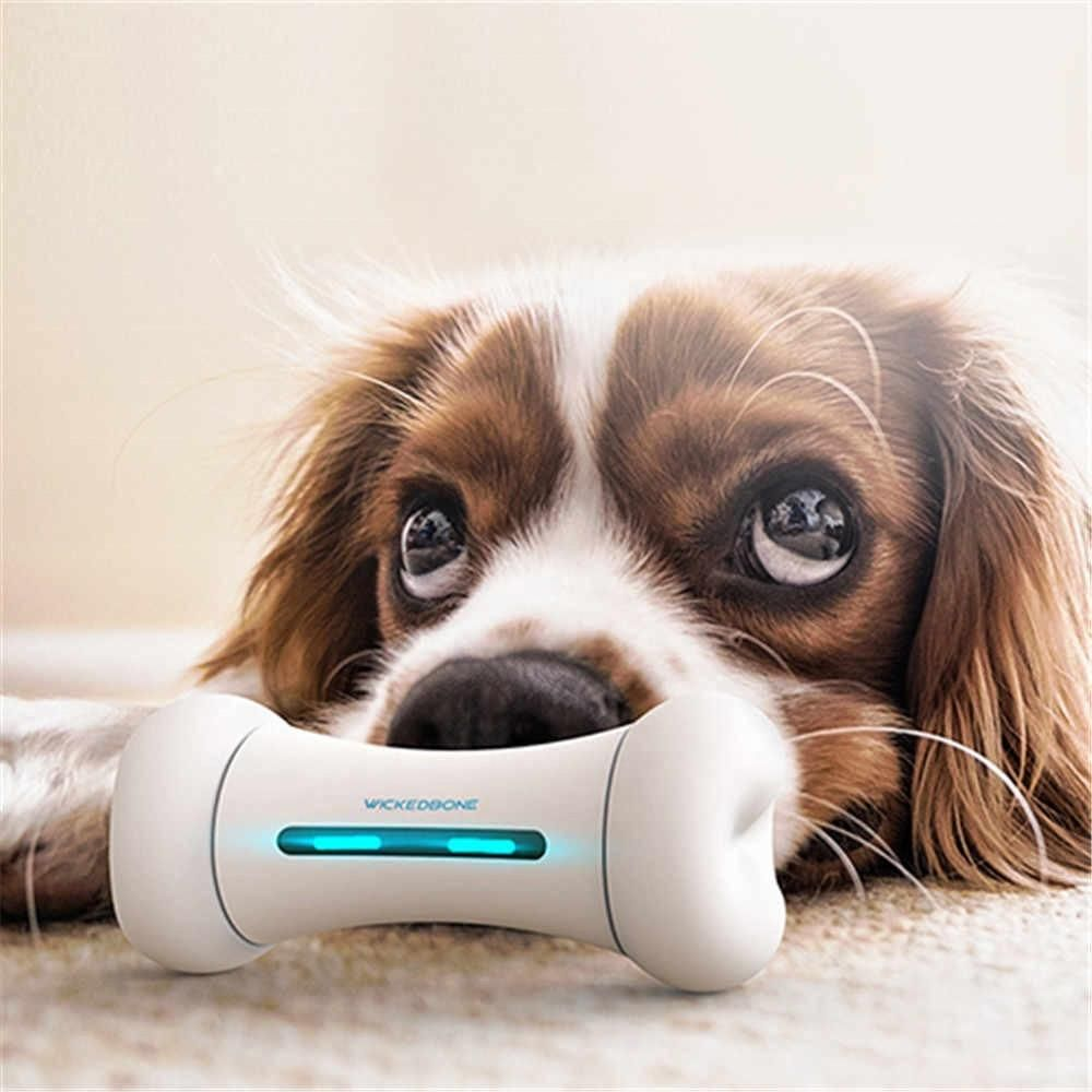 Wicked Bone Smart Bone