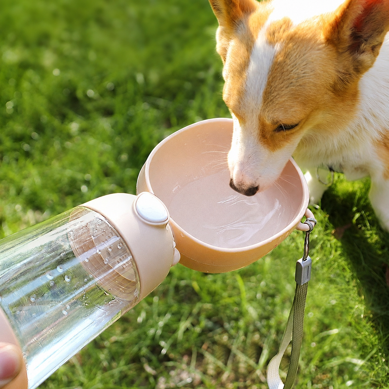 2-in-1 Travel Water Bottle