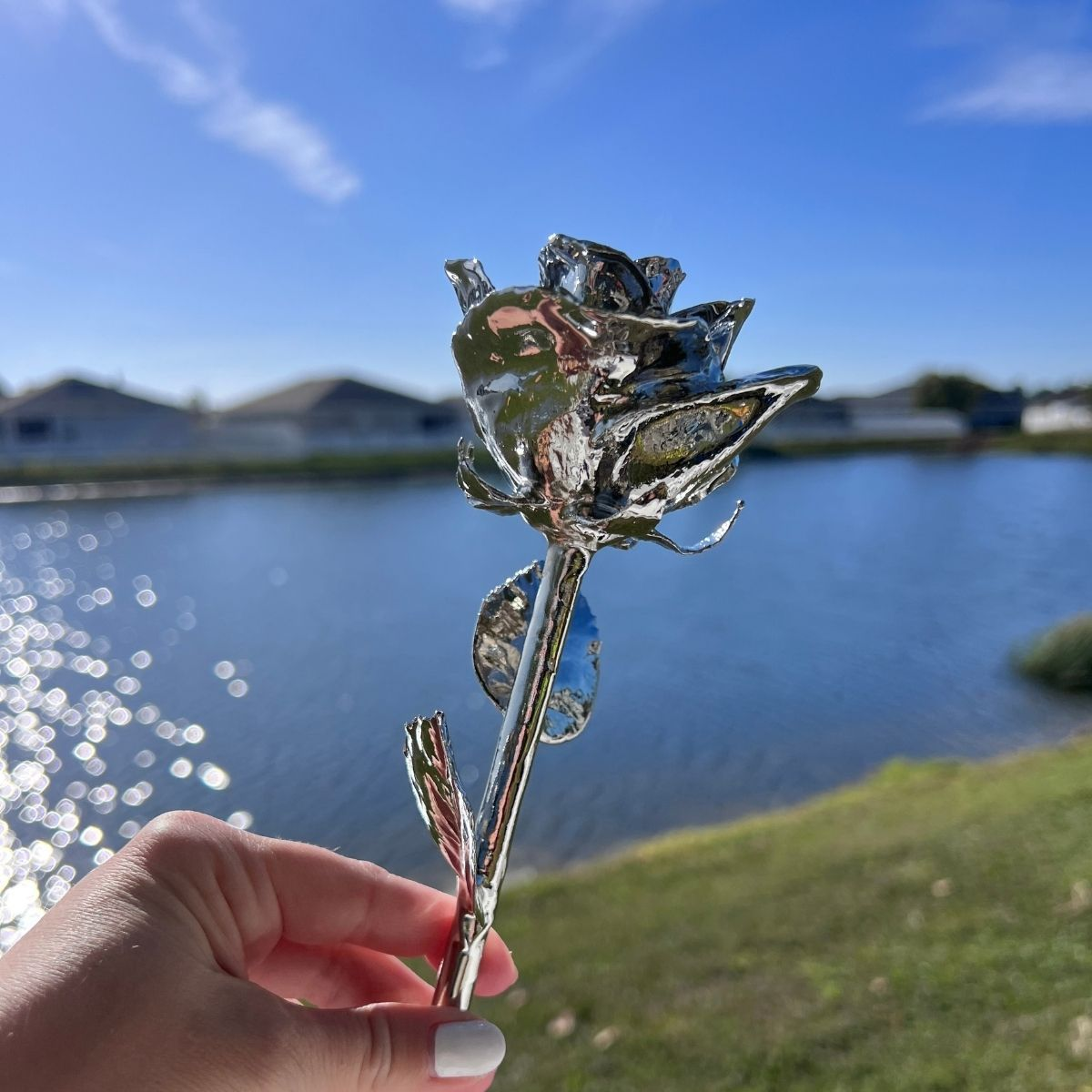 Platinum or Silver-Dipped Real Rose
