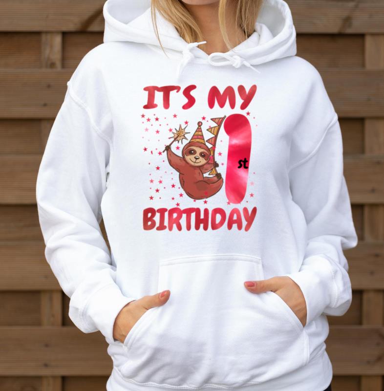 1st Birthday Cute Sloth Party Hat Themed Birthday - Unisex Hoodie