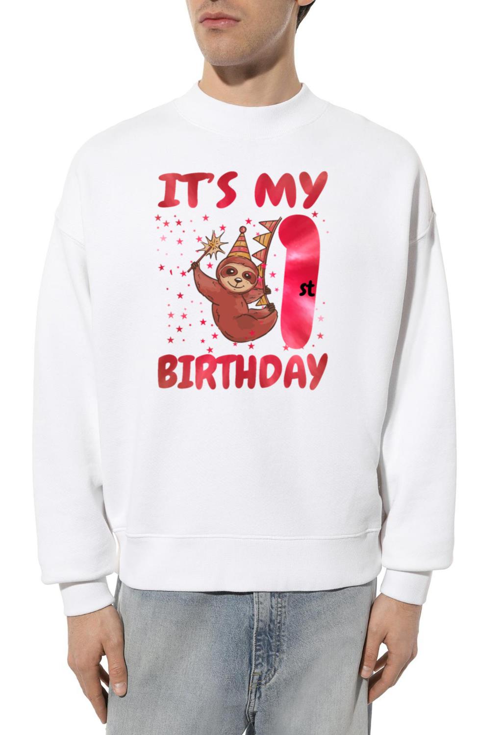 1st Birthday Cute Sloth Party Hat Themed Birthday - Unisex Sweatshirt