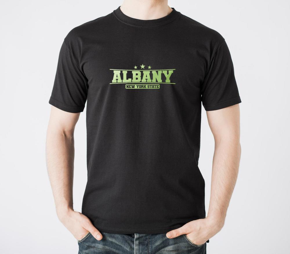Albany City in the State of New York - Unisex Standard T-Shirt