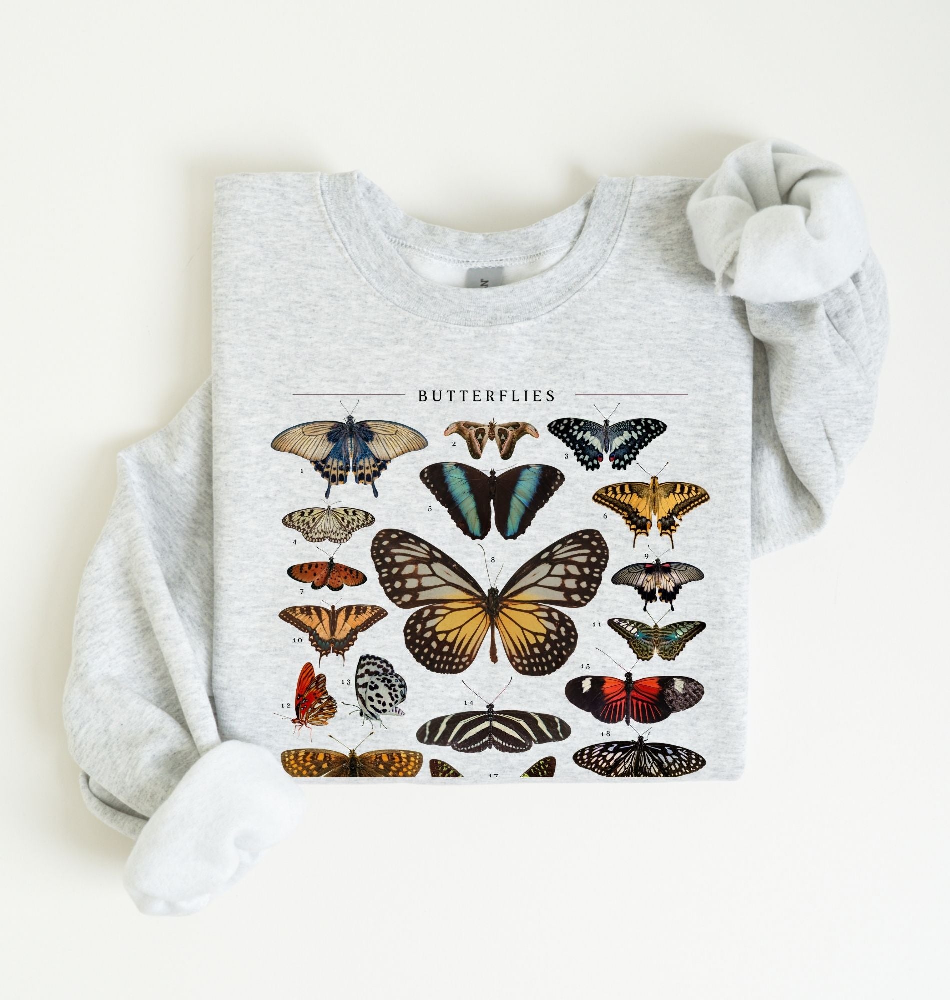 Butterflies Chart Sweatshirt | Vintage Butterfly Graphic Nature Gift 1