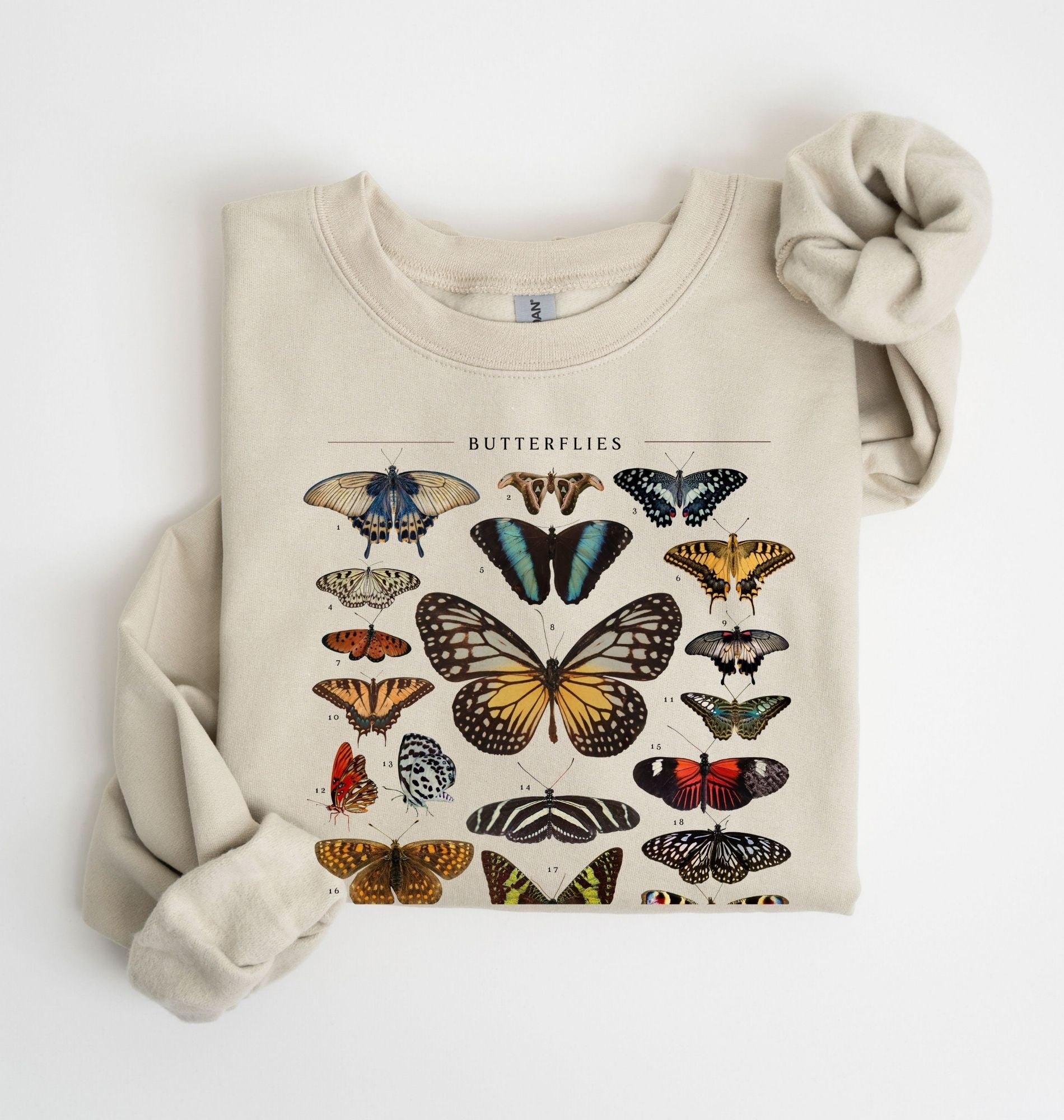 Butterflies Chart Sweatshirt | Vintage Butterfly Graphic Nature Gift 2