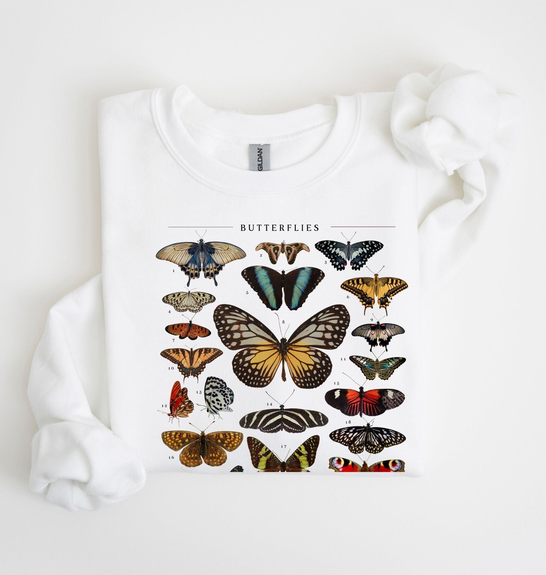 Butterflies Chart Sweatshirt | Vintage Butterfly Graphic Nature Gift 3