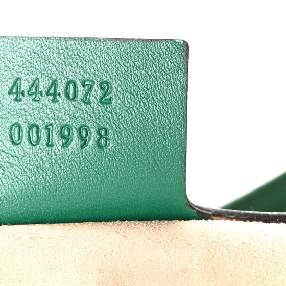 Calfskin Web Embroidered Small Dionysus Hobo Emerald Green - Image 7