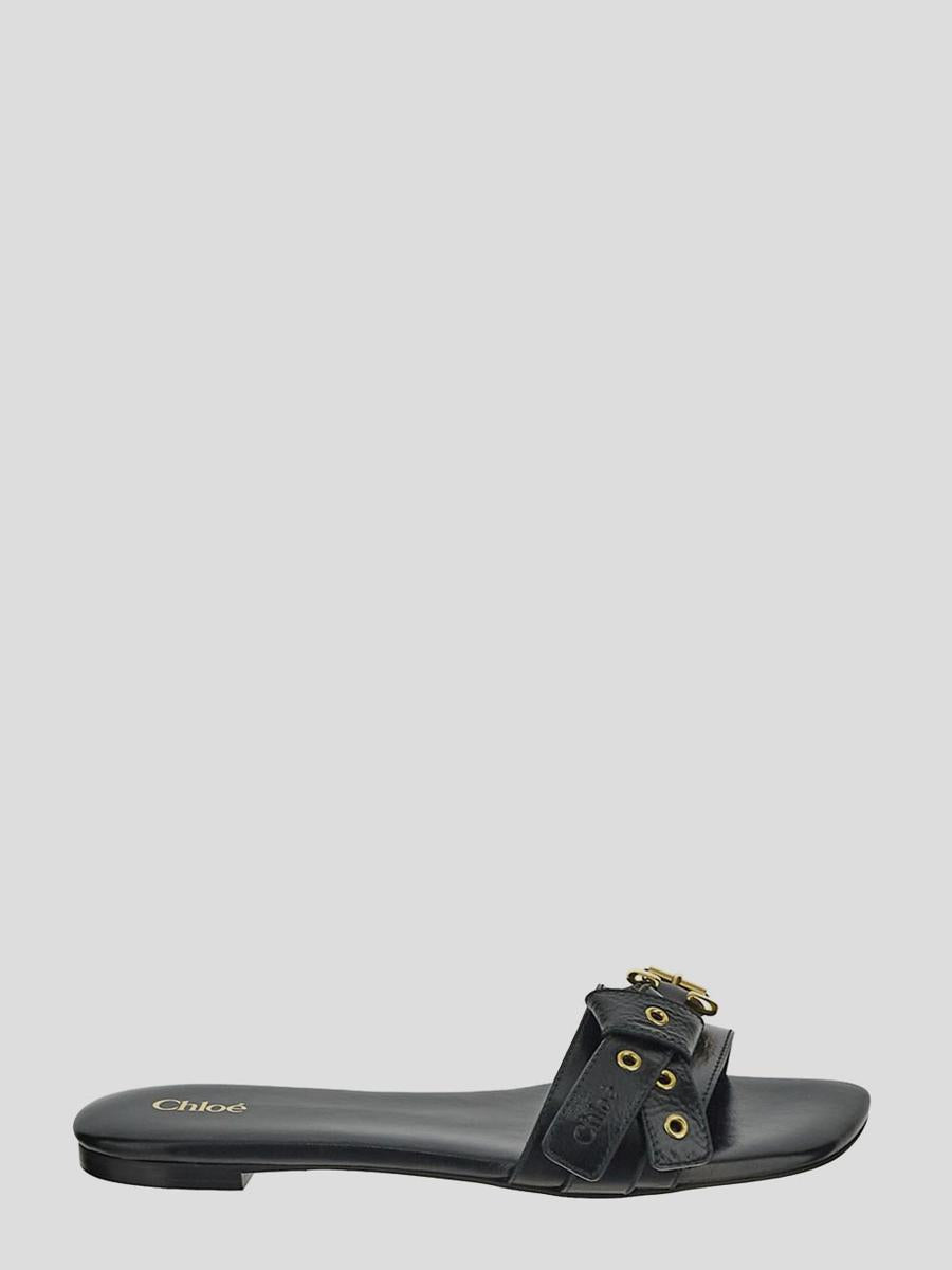 Chloe Flat Shoes