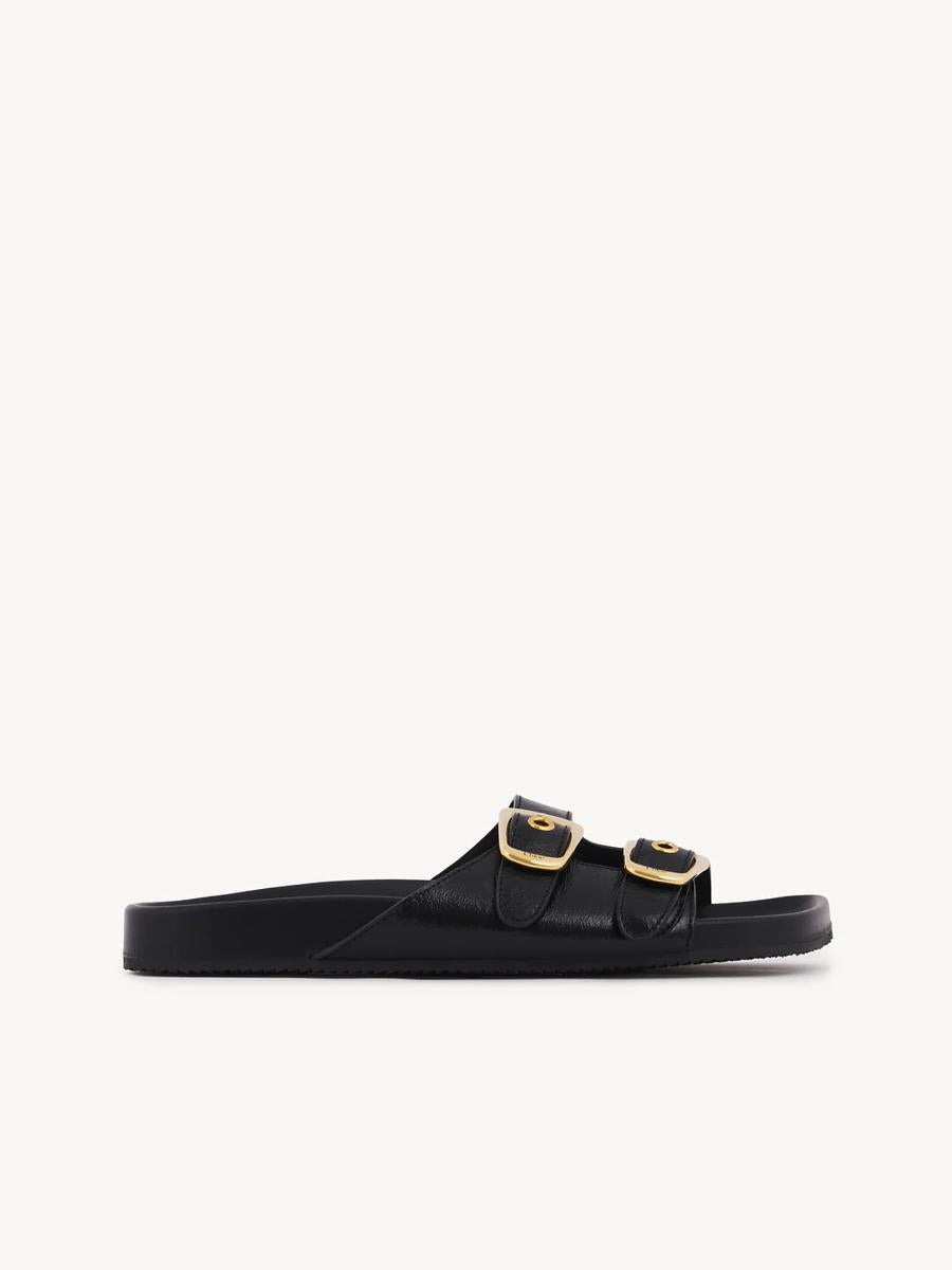 Chloe “Polly” Slides