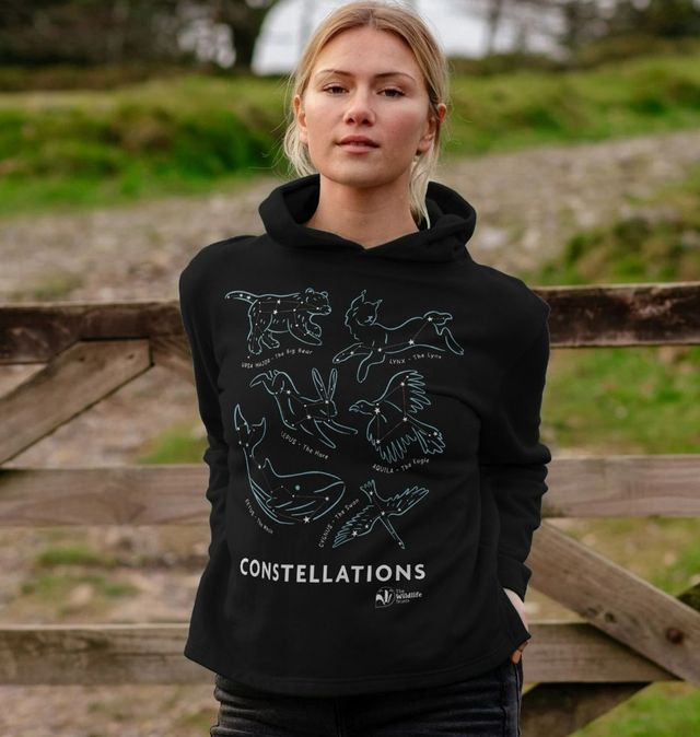 Constellation Relaxed Fit Hoodie 2