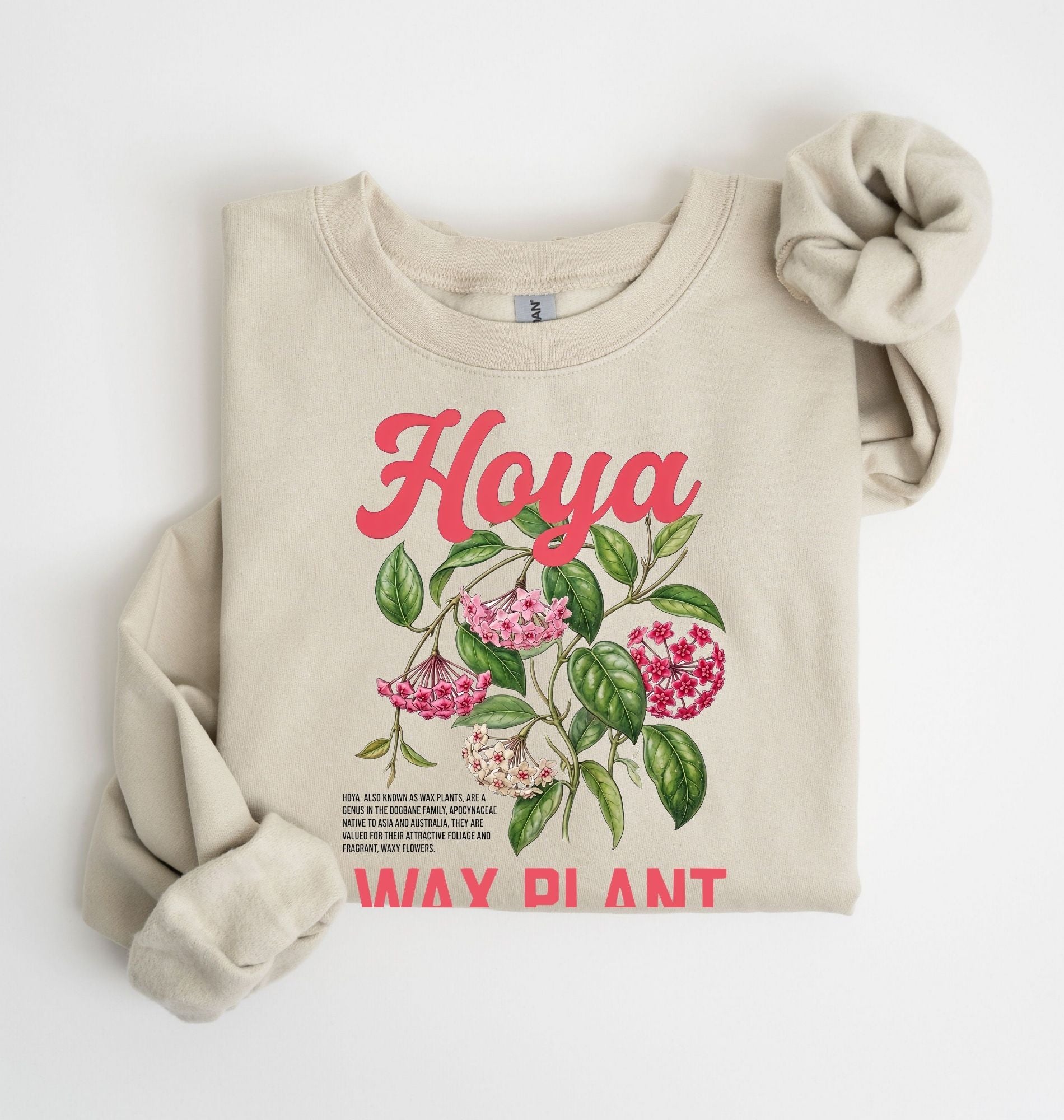 Hoya Wax Plant Sweatshirt | Botanical Plant Lover Gift 2