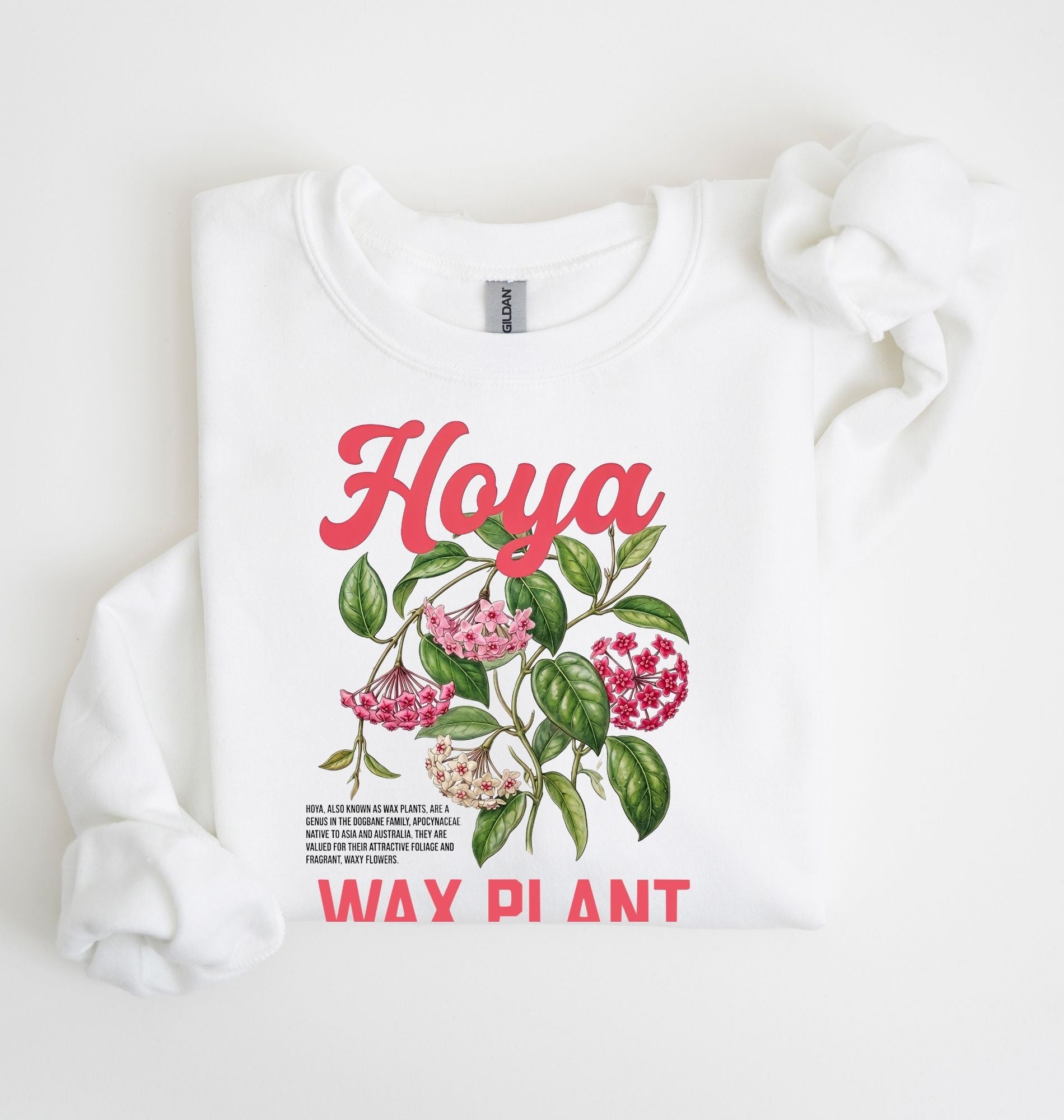 Hoya Wax Plant Sweatshirt | Botanical Plant Lover Gift 3
