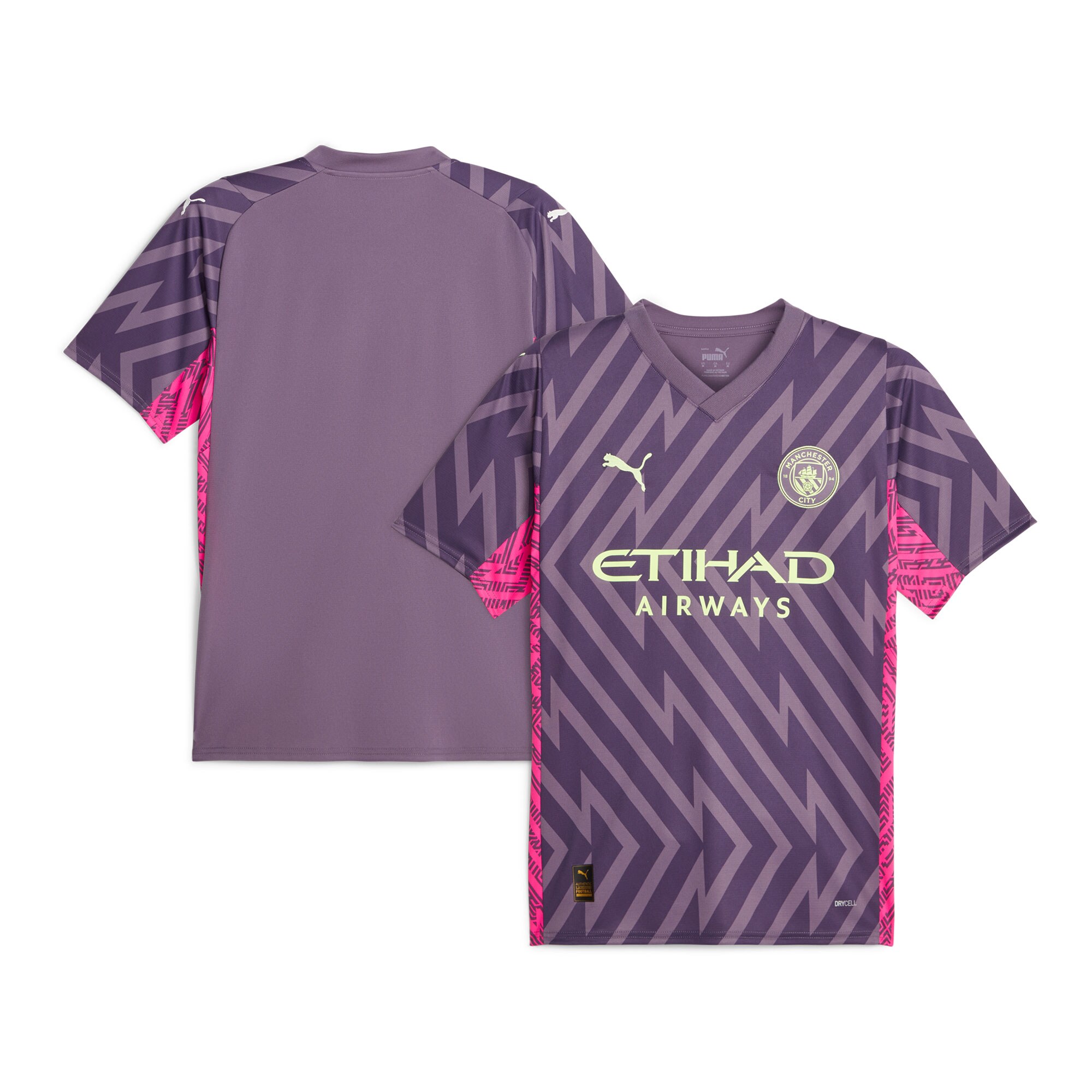 Manchester City Puma 2024/25 Training Jersey - Blue