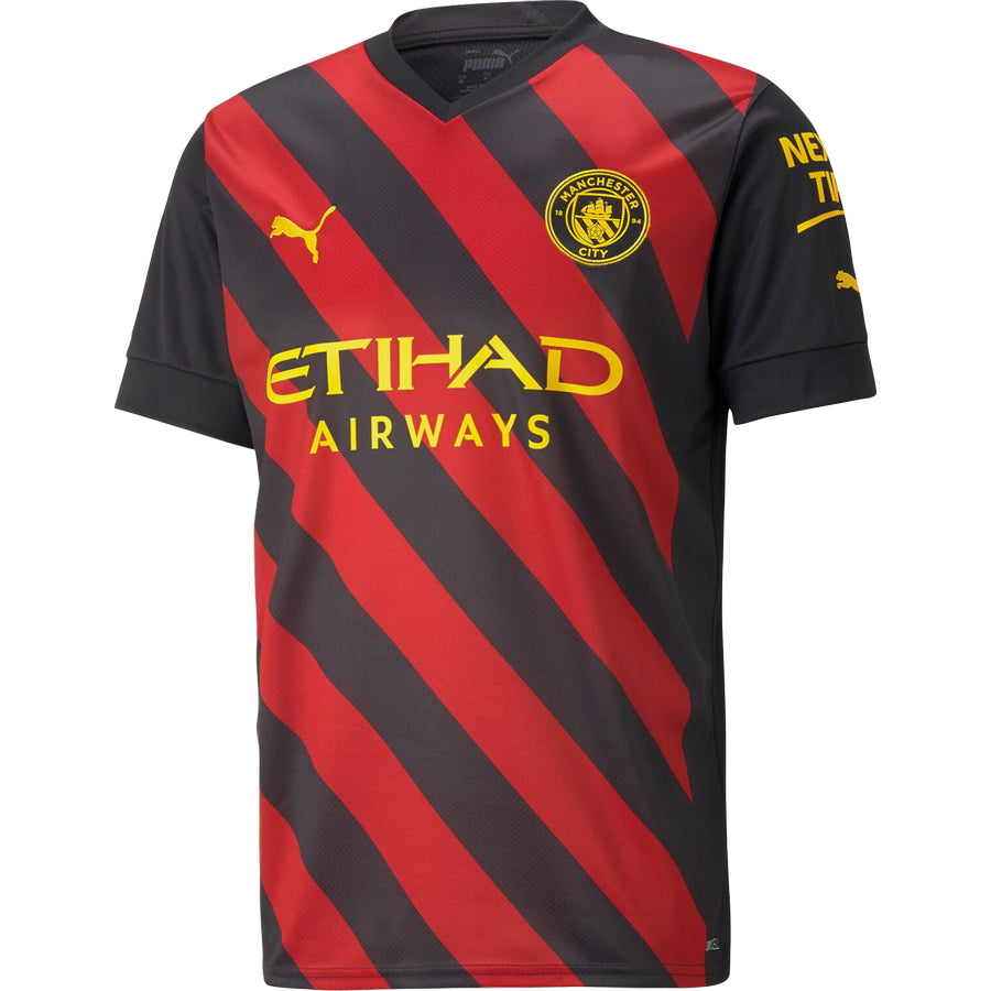 Manchester City Puma 2024/25 Training Jersey - Blue