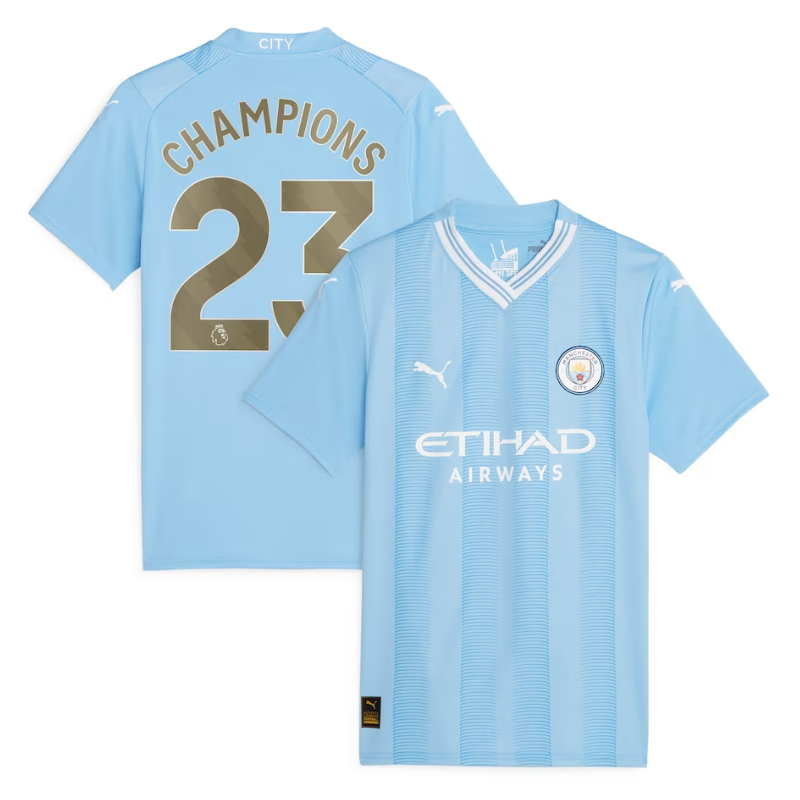 Manchester City Puma 2024/25 Training Jersey - Blue