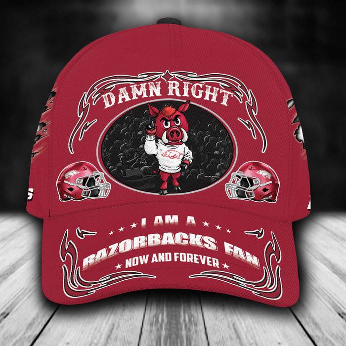 Personalized Arkansas Razorbacks Mascot Damn Right 3D Classic Baseball Cap CNI1356