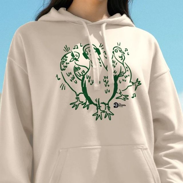 Pigeon Hoodie 2