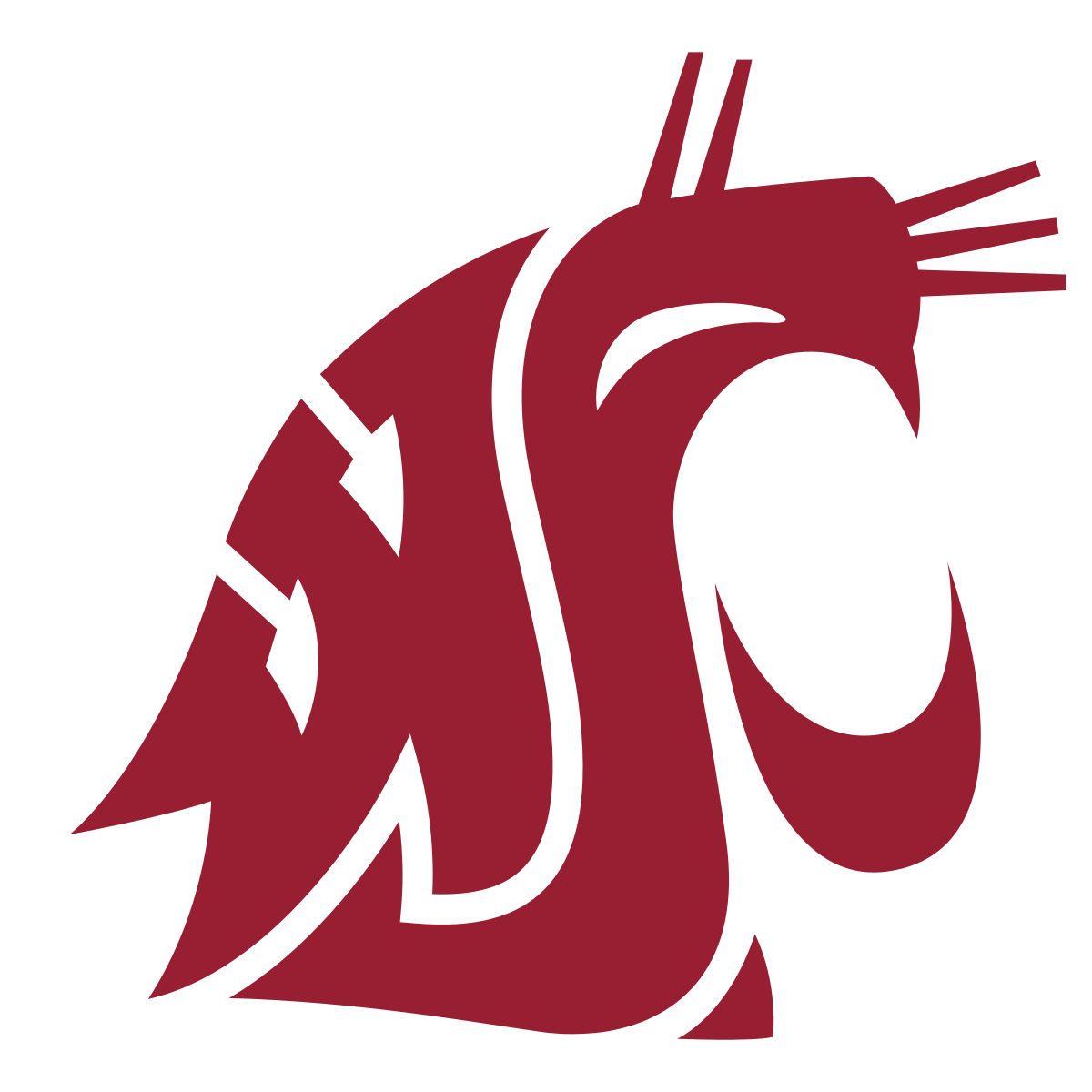 Washington State Cougars