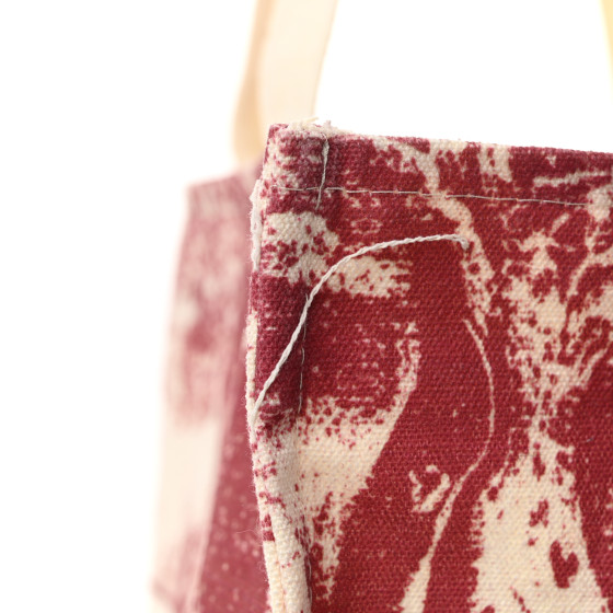 Straw Dioriviera Tote Red - Image 10