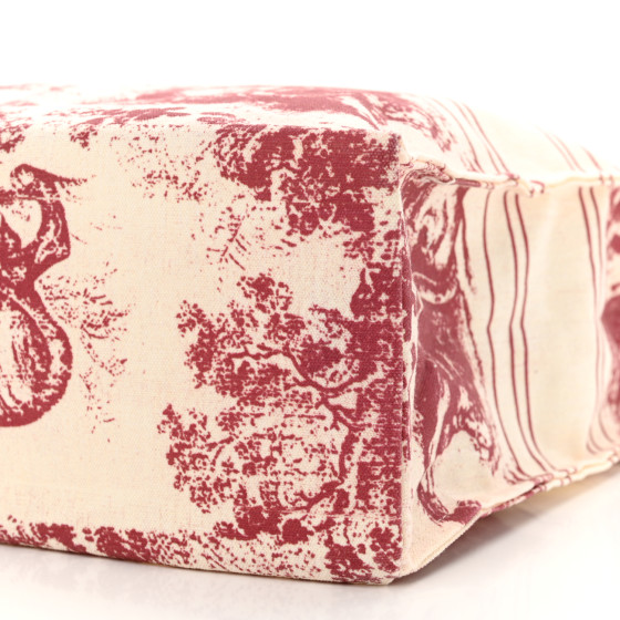 Straw Dioriviera Tote Red - Image 8