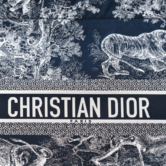 Technical Fabric Toile De Jouy Reverse Diortravel Zipped Pouch Blue Multicolor - Image 8