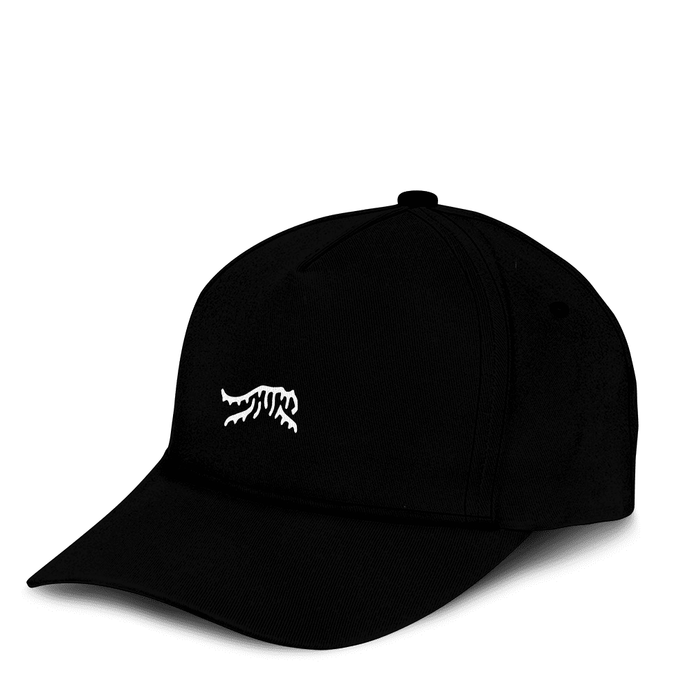 Tiger Woods Golf Logo Classic Cap Black Wpl1128